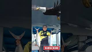 Eagleman # #fishing #amazing #shortvideo #shorts