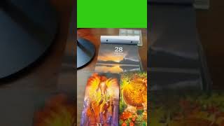 The Tarot Cards for 28-8-2024- You are the  Phoenix Rising from the Ashes#youtube #tarot