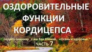 7  Оздоровительные функции кордицепса