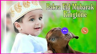 Bakra Eid Best Arabic Ringtone 2021 | New  Islamic Ringtone 2021| Bakra Eid Pe Kurbani Ibrahim Sunna