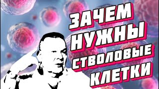 Зачем нужны стволовые клетки