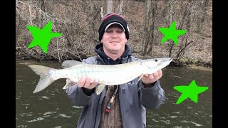 2 AMATURES MUSKIE fishing in Piedmont Lake Ohio