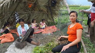 Together with The Farmers Harvest Peanuts Goes To The Market Sell, Green Forest Farm, Free Bushcraft