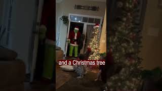 Kids Fight and Cry: The Grinch Prank Went Too Far