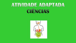 Atividade Adaptada: Sistema Digestório