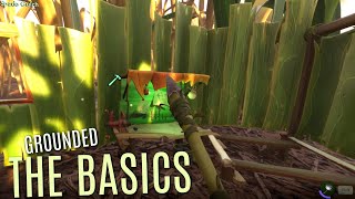 STARTING OUT and The Basics - New Survival Game - GROUNDED!