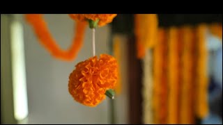 Haldi and Reception