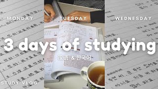 Three Days of Studying | Chinese 🇨🇳 and Korean 🇰🇷 | study vlog