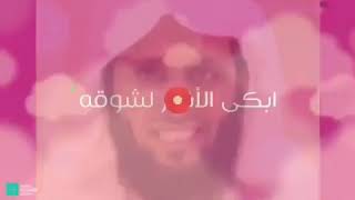 حالات واتس آب دينية♡منصور السالمي♡كسب القلوب بحبه...