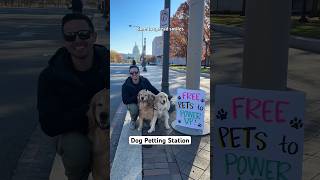 Every race needs a Dog Petting Station