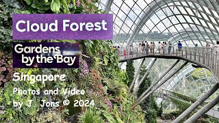 A visit to the Cloud Forest Dome at Gardens by the Bay in Singapore