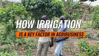 Why Irrigation Is A Key Factor In Agribusiness (Farm) #irrigation #irrigationsystems #farming