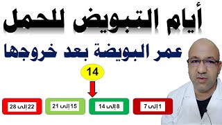 ايام التبويض للحمل ايام التبويض عند المراة لحدوث الحمل كم من الوقت تعيش البويضة بعد خروجها من المبيض