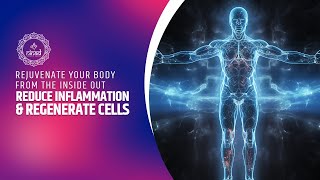 Reduce Inflammation And Regenerate Cells | Rejuvenate Your Body From The Inside Out | 528hz