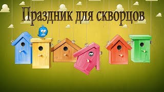 Праздник для скворцов