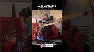 Biarnel Tycoon multiscale 37-33” bass - informal testing by Luca Cantasano