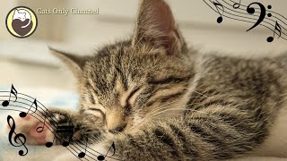 Music for Cats - Relaxing Harp Music with Cat Purring Sounds, Stress Relief, Sleep Music