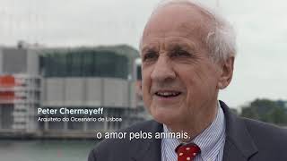 "Construir oceanos" | 20 anos 20 histórias | Oceanário de Lisboa