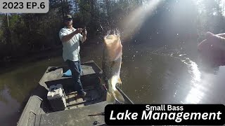 Lake Management ** Small Bass Take Over ** (Part 1)