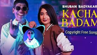 kacha Badam English Remix Song | Copyright Free | @NepMusic