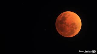 Blood Moon 4K Ultra HD