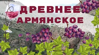 Пробуем в Армении древнее вино из дикого винограда