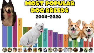 Most Popular Dog Breeds by Google Trends | 2004-2020