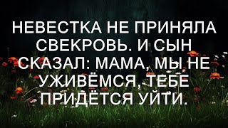 Невестка не приняла свекровь. И сын сказал: мама, мы не уживёмся, тебе придётся уйти.  || Трист