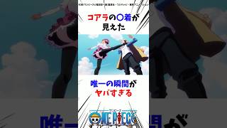 コアラの大事な部分が見えた瞬間がヤバすぎる#ワンピース #最新話 #onepiece #考察 #雑学