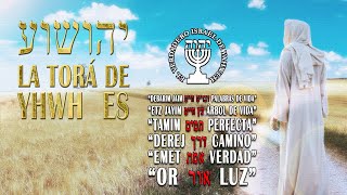 EL MESIAS ES LA TORÁ DE YHWH ES PALABRAS DE VIDA – PERFECTA – LUZ  – ÁRBOL DE VIDA – LA VERDAD