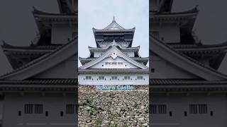 Japan's Hidden Gem #kokuracastle #kokura #kitakyushu #castle #japantravel #travel #weltreise