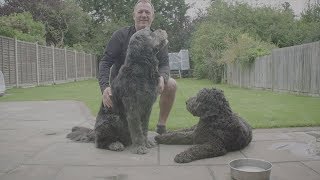 Paul O'Grady For the Love of Dogs | Simon and Hugo