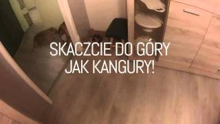 Skaczcie do góry jak kangury!