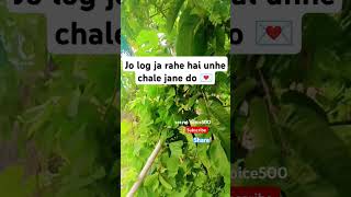 🌺jo log ja rahe hai use jane do 💌video zarur sune💫Islam ki piyari baatein 🌹#motivation #status #fyp