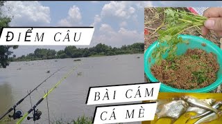 Chia Sẻ Điểm Câu Và Bài Cám Câu Cá Mè Vinh, Mè Dãnh/ Câu Cá Sông @minhcanhfishing