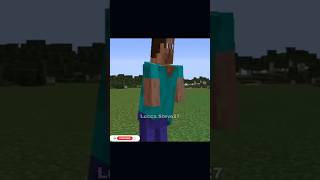 Eu e Meu Mano no Minecraft 309