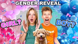 Puppy Gender Reveal! So CUTE!