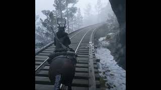 Slipping Off A Bridge In Rdr2