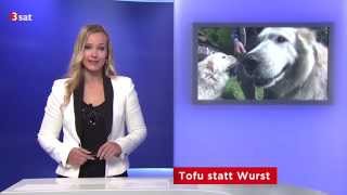 Tofu und anderes vegetarisches Futter für den Hund (3sat Bilder aus Südtirol 30.05.2015)