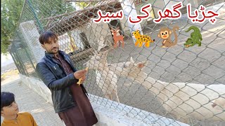 Chirya Ghar Ka Ser 🐊🦌🐆🐒 | Hyderabad Zoo| چڑیا گھر کی سیر