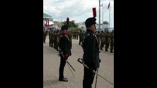 The 7 rifles and bugles marching past us during our changing the guard tour.