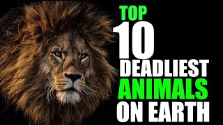 Top 10 Most Deadliest Animals In The World | Tensopedia