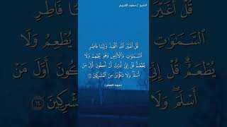 سورة البقرة ( ١٤ - ١٨) / سعود الشريم