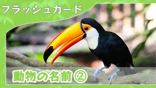 【動物の名前②】0歳から始める知育フラッシュカード