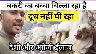 Bakri Ka Baccha Chilla Raha Hai Kya Karen|Vimalumrao