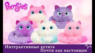 Помси Pomsies Популярное семейство очаровательных интерактивных котят!