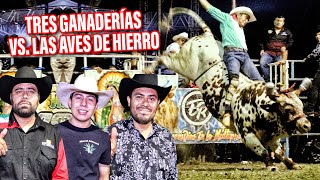 SE JUNTARON 3 GRANDES RANCHOS DE OAXACA PARA ENFRENTAR A LAS AVES DE HIERRO! UN GRAN JARIPEO