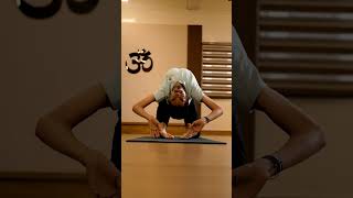 Purna Ustrasana ! Advance Asana #yoga #flexibility #viral #yogaeveryday