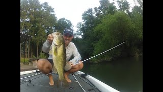 Early Morning Largemouth - Lake Allatoona 8-7-21