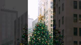 NATAL CURIOSIDADES #curiosidades #natal #shortvideo #short #shorts